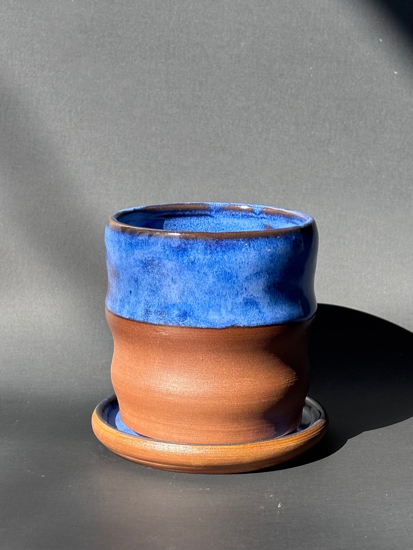 Curvy Cobalt Planter 1