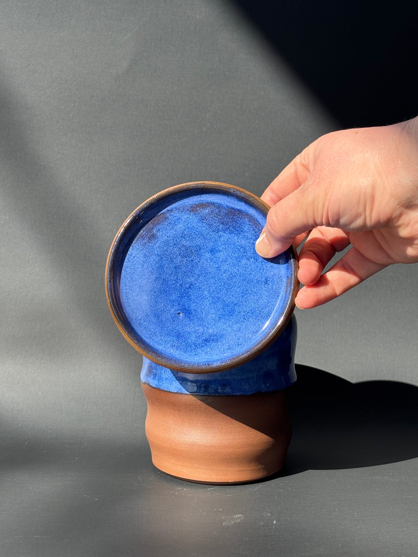 Curvy Cobalt Planter 1