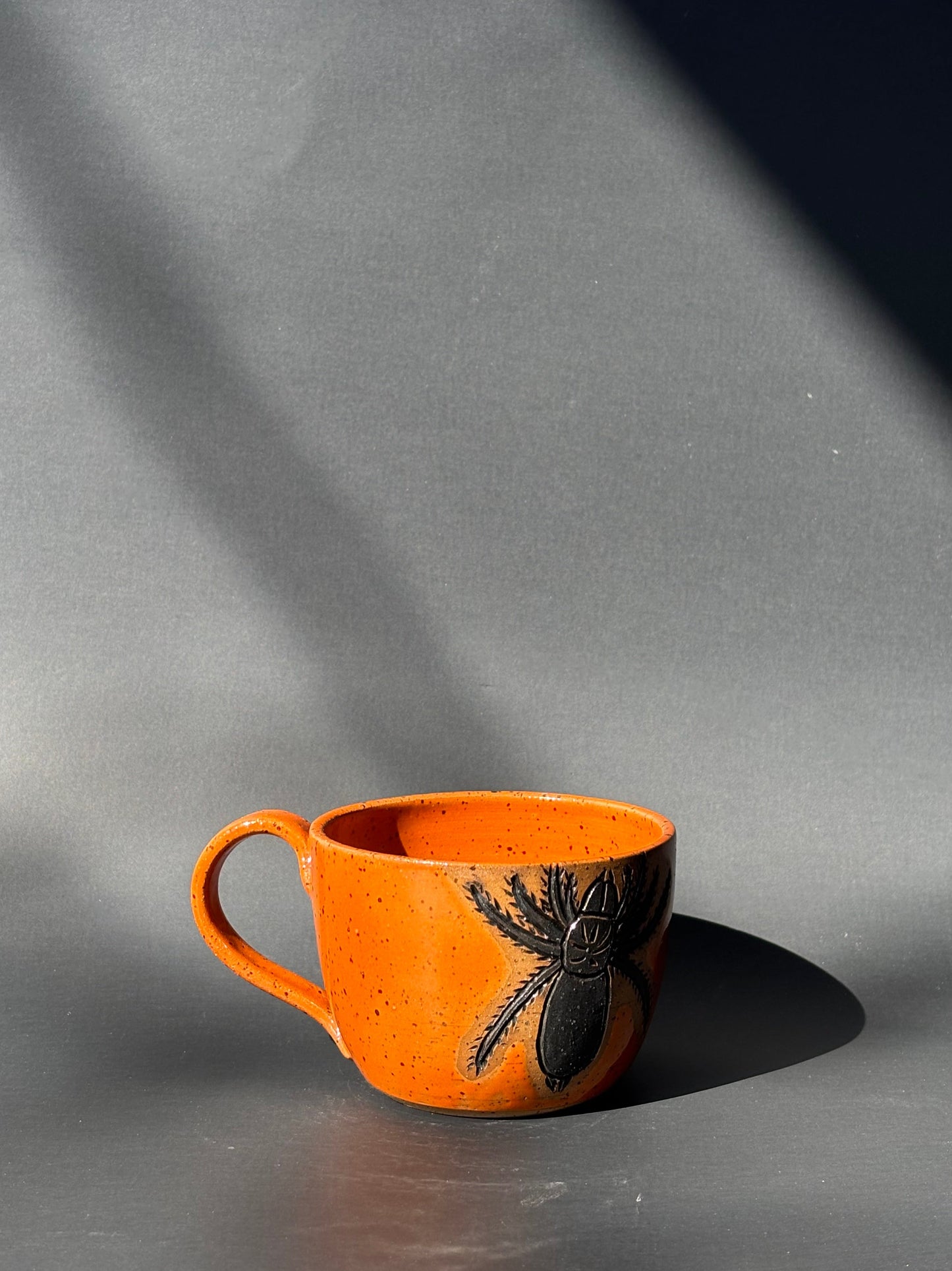 Spider & Web Mug