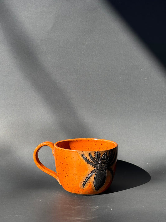 Spider & Web Mug