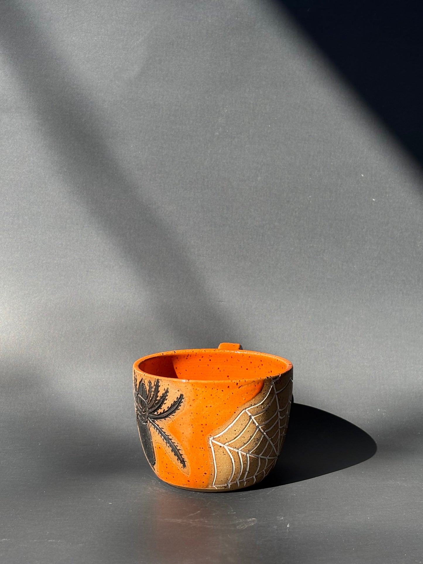 Spider & Web Mug
