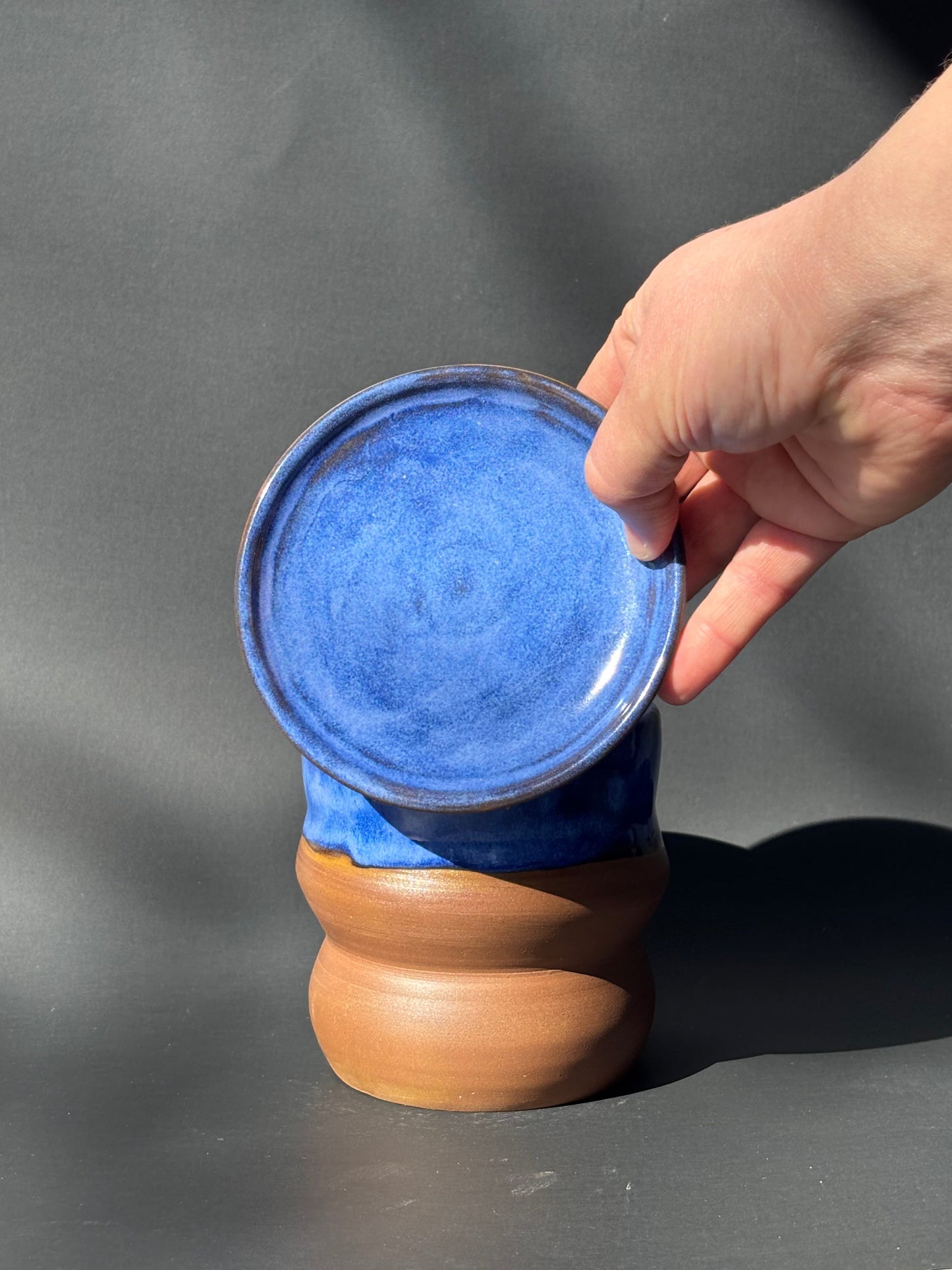 Curvy Cobalt Planter 2