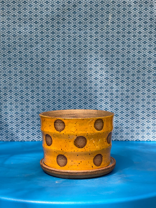 Tangerine Polka Dot Planter Set