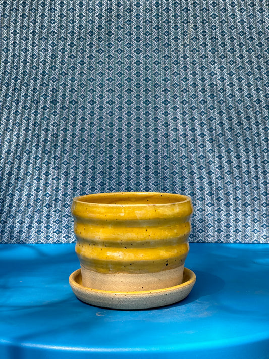 Yellow Curvy Planter